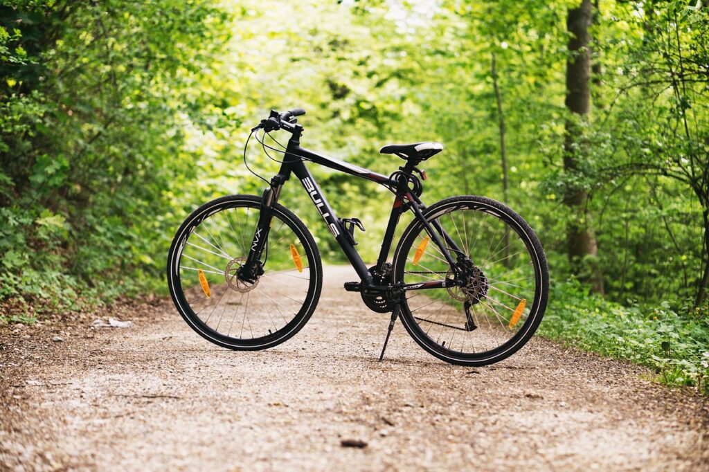 Midas Mountain Bicycle